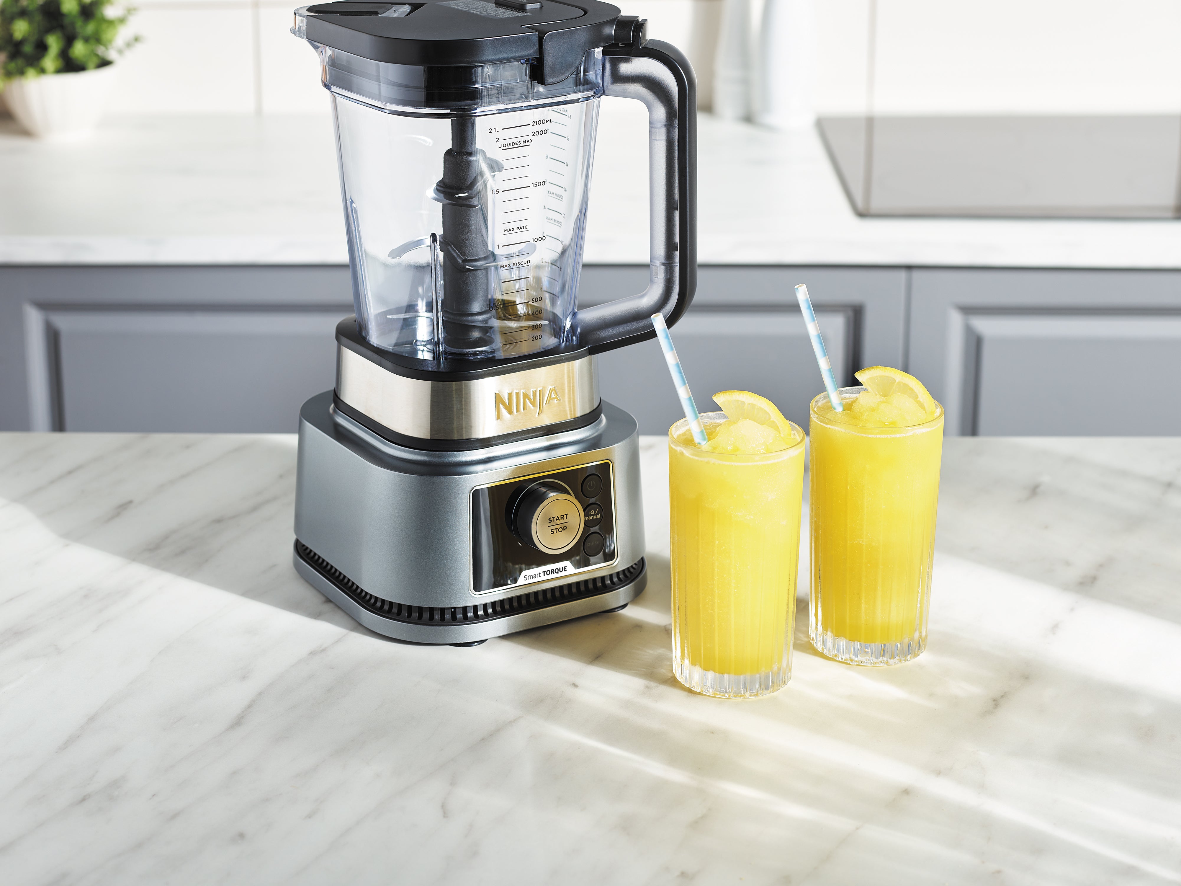 Ninja CB350CH Foodi 3-in-1 Power Nutri Mixer