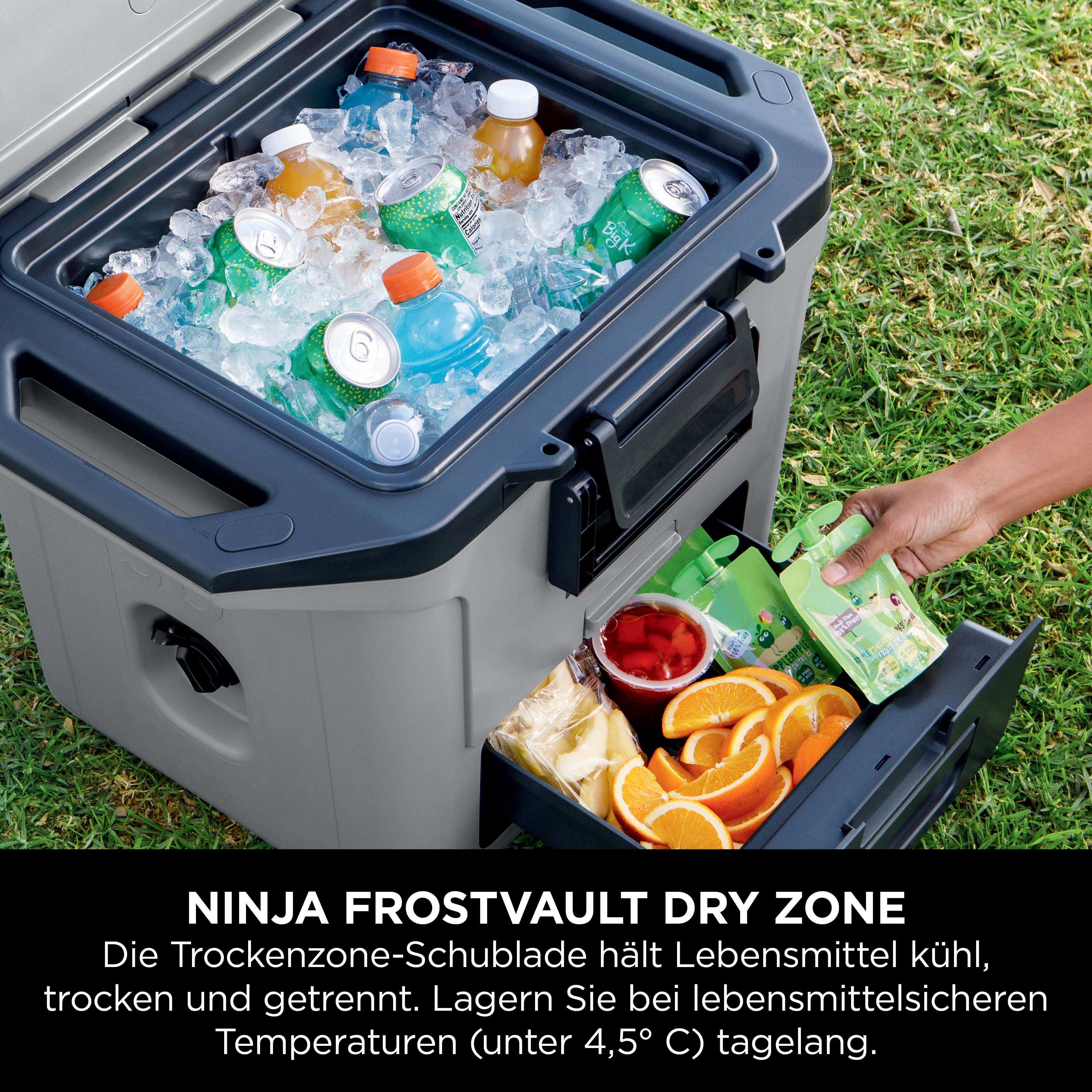 Ninja FrostVault 28 L Kühlbox mit Trockenzone