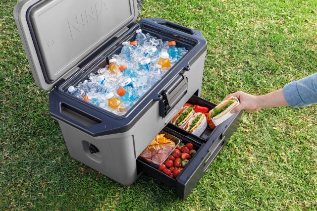 Ninja FrostVault 47 L Kühlbox mit Trockenzone