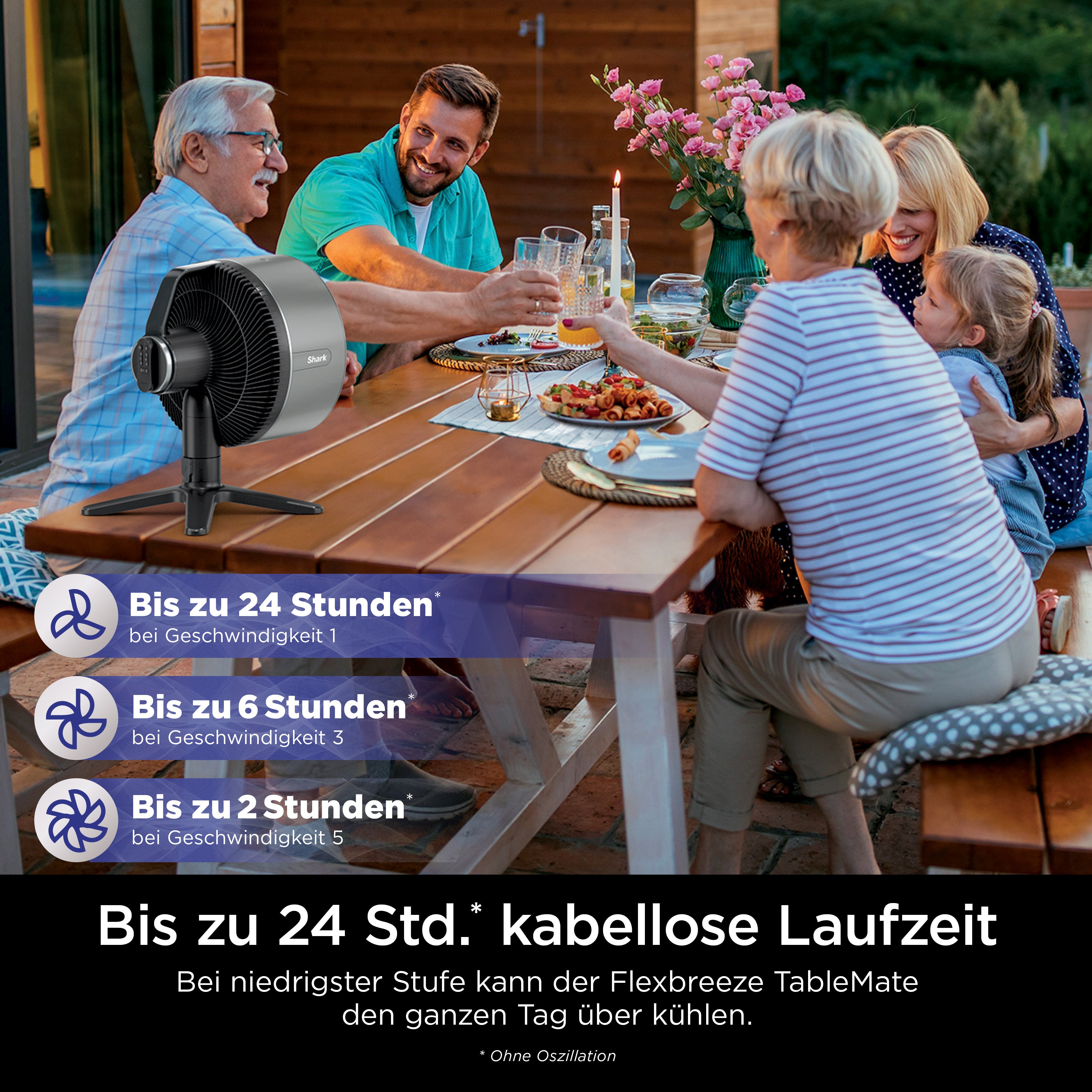 Shark FA150CH FlexBreeze TableMate Ventilator