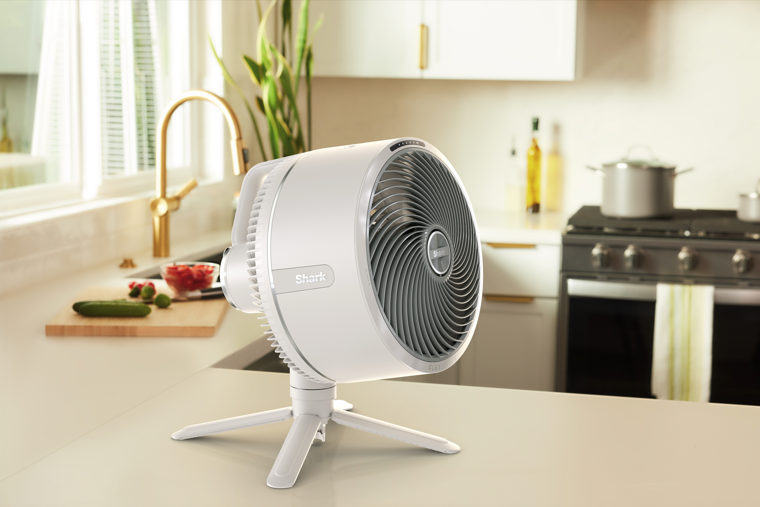 Shark FA220CH FlexBreeze Ventilator