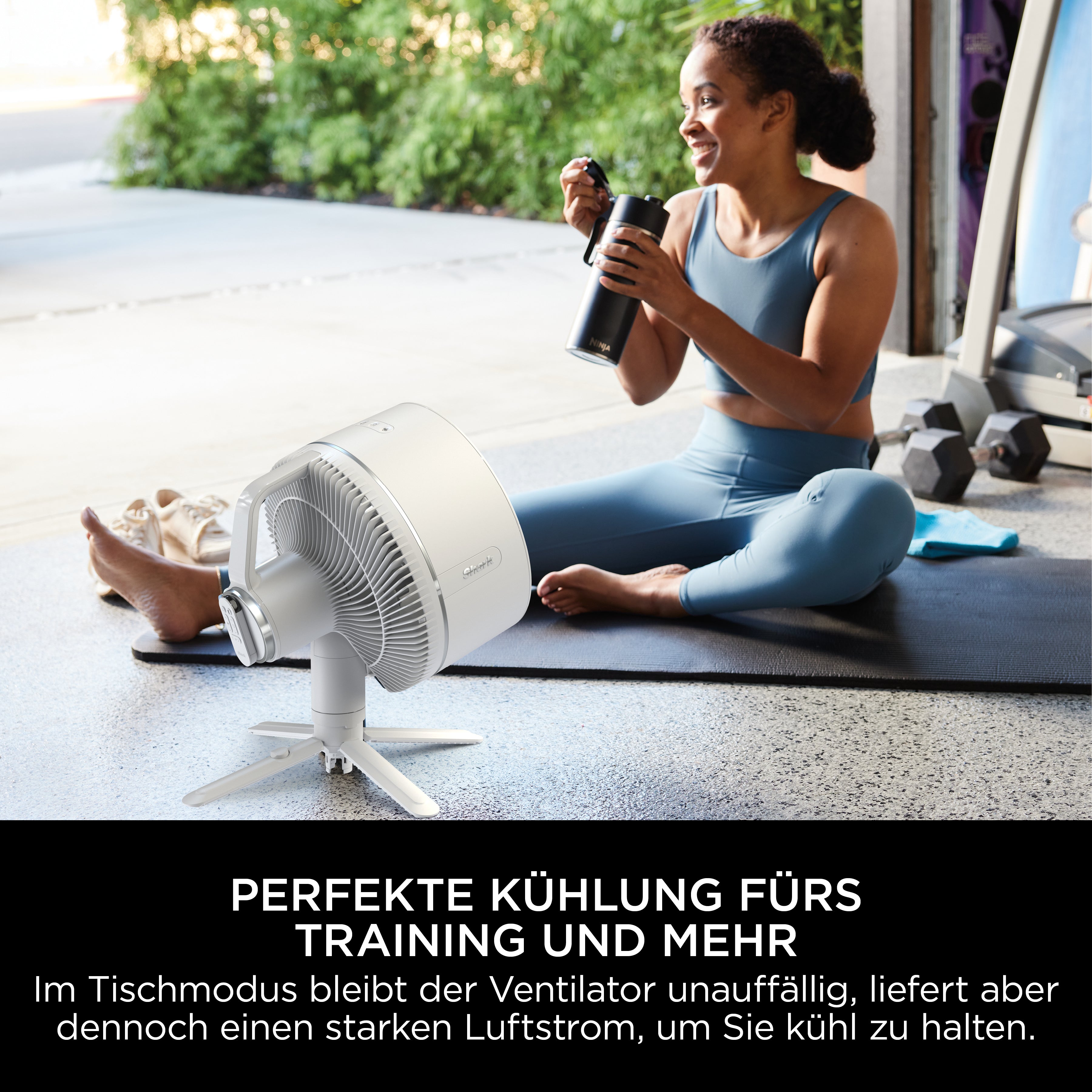 Shark FA220CH FlexBreeze Ventilator