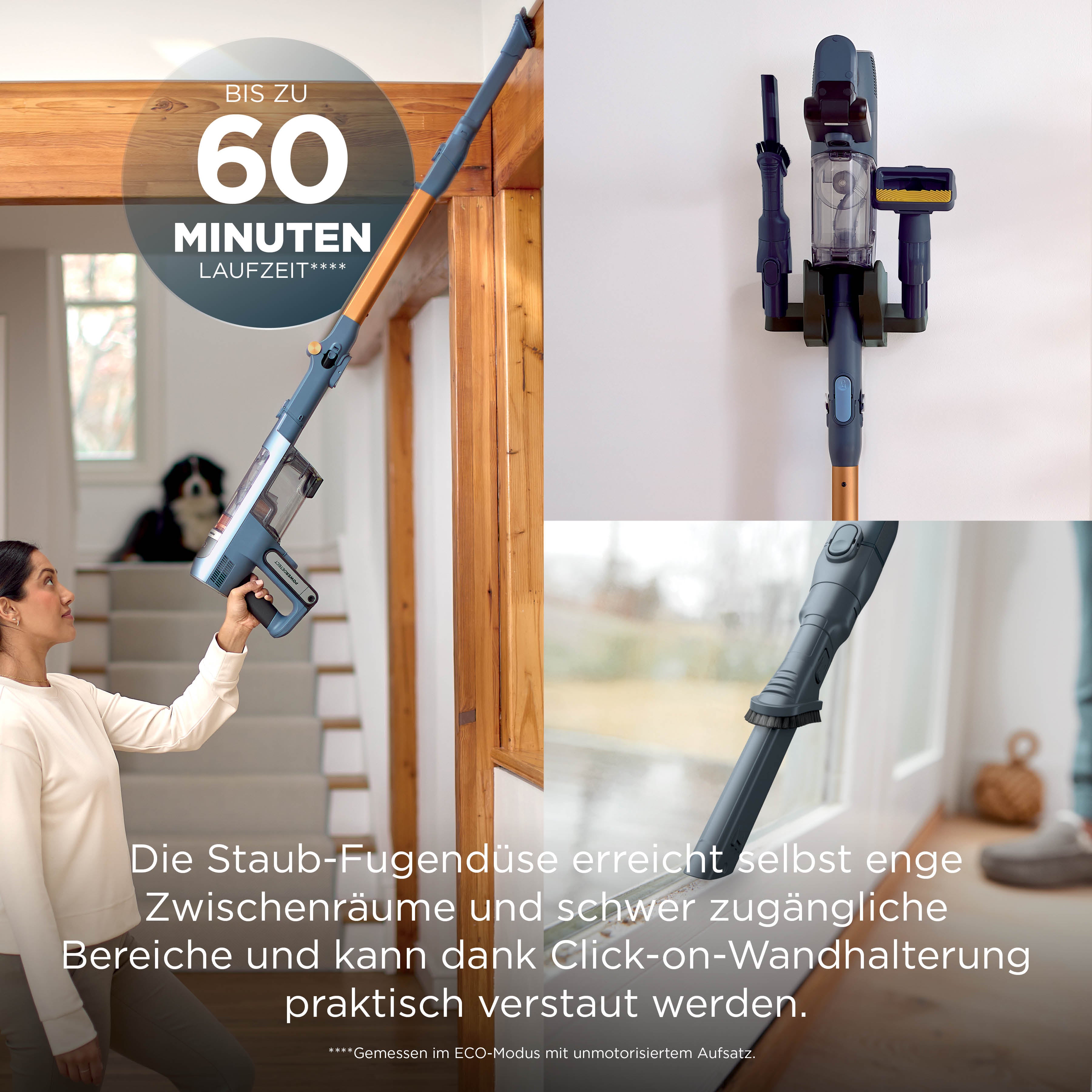 Shark IA1244CH PowerDetect Speed Akku-Staubsauger