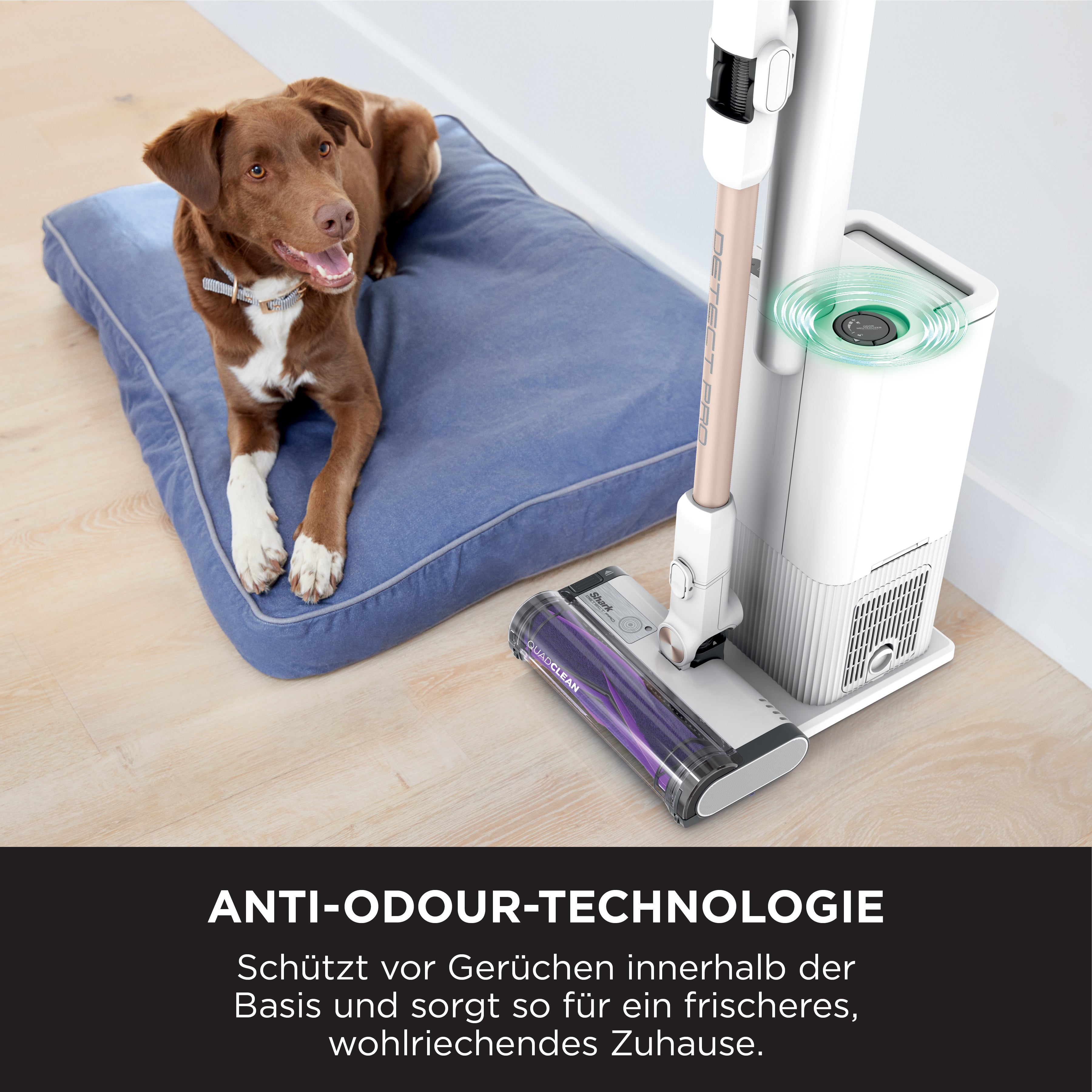 Shark IW3611CH Detect Pro Akku Staubsauger mit Absaugstation