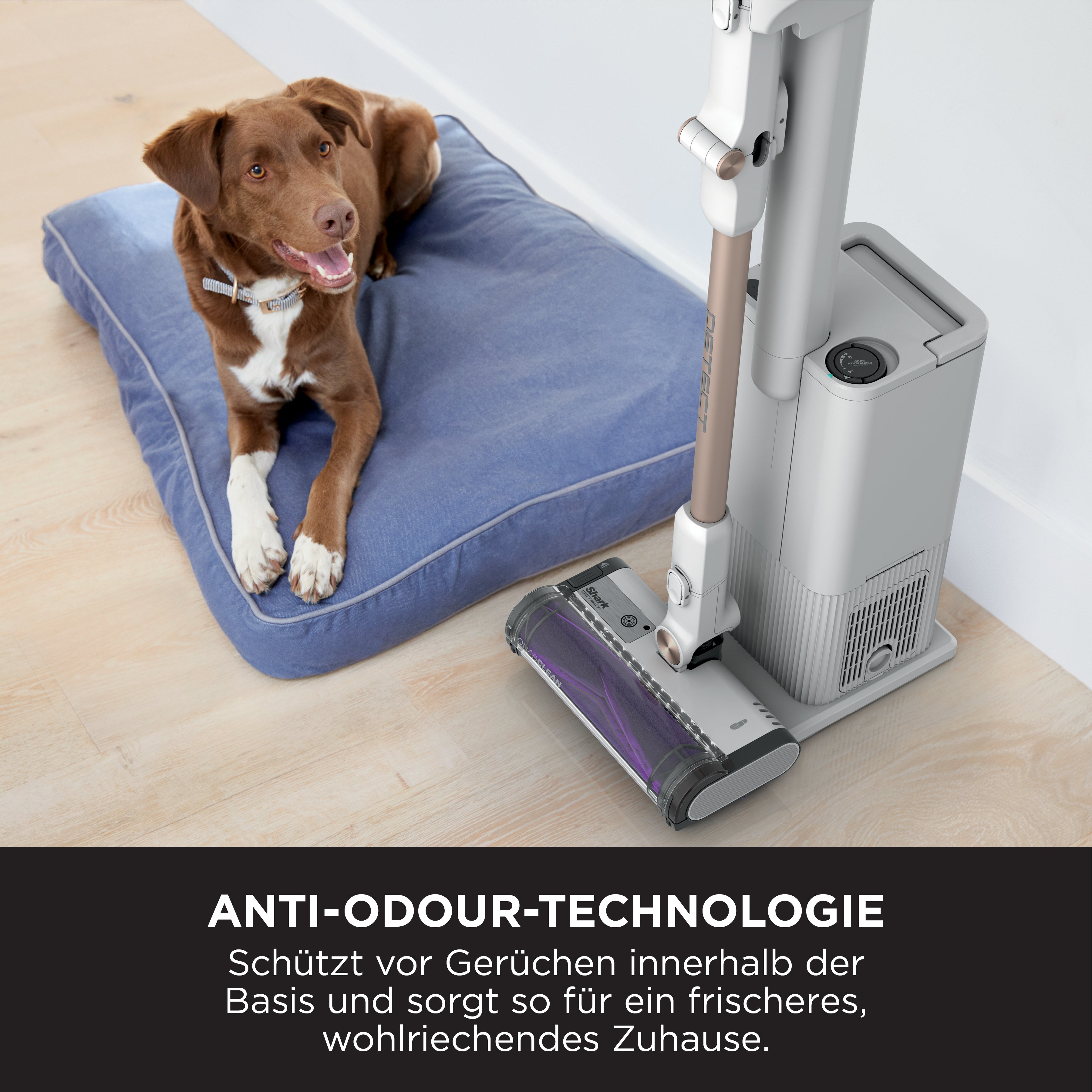 Shark IW3612CH Detect Clean Akku-Staubsauger