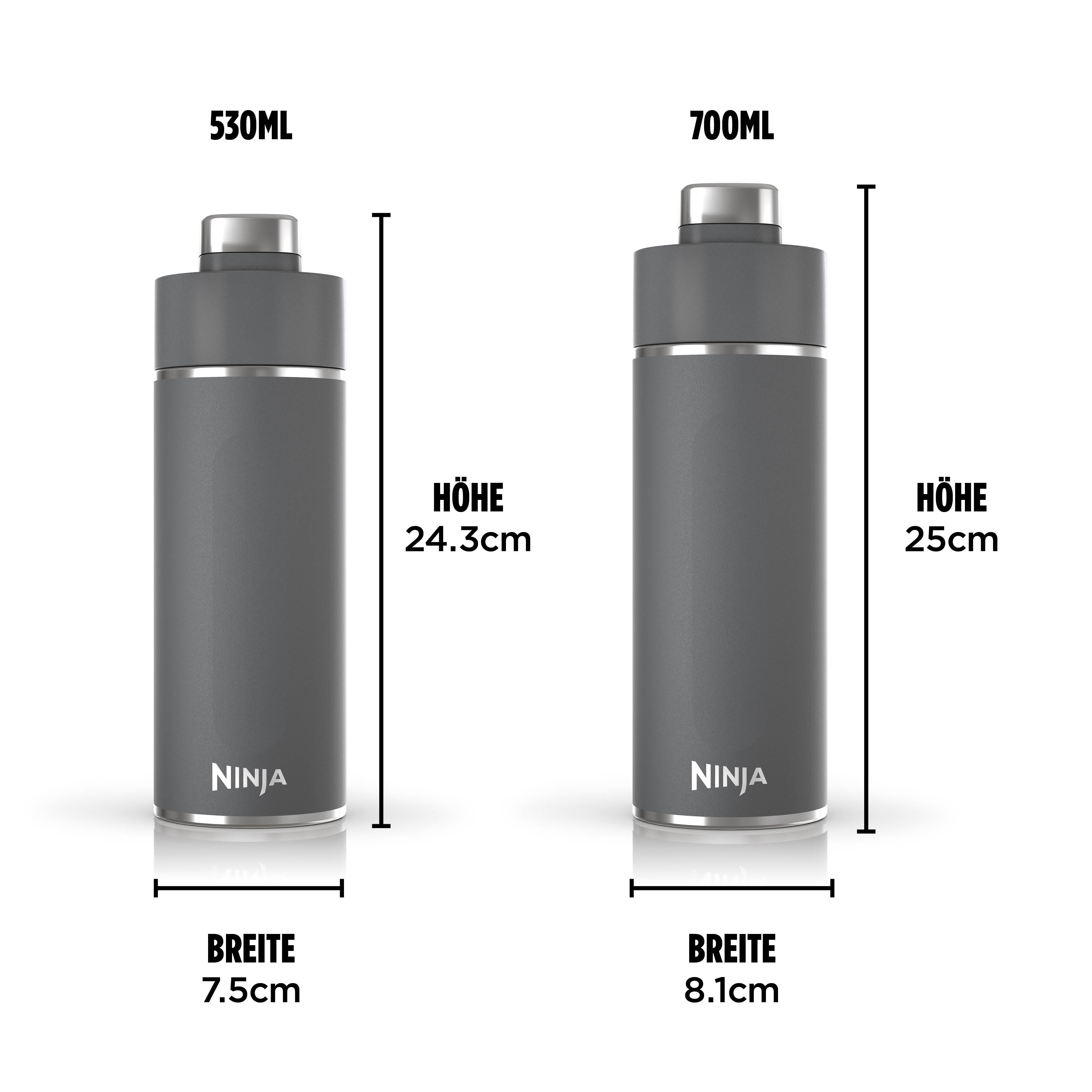 Ninja DW2401EUUKGY Thirsti 700 ml Reiseflasche