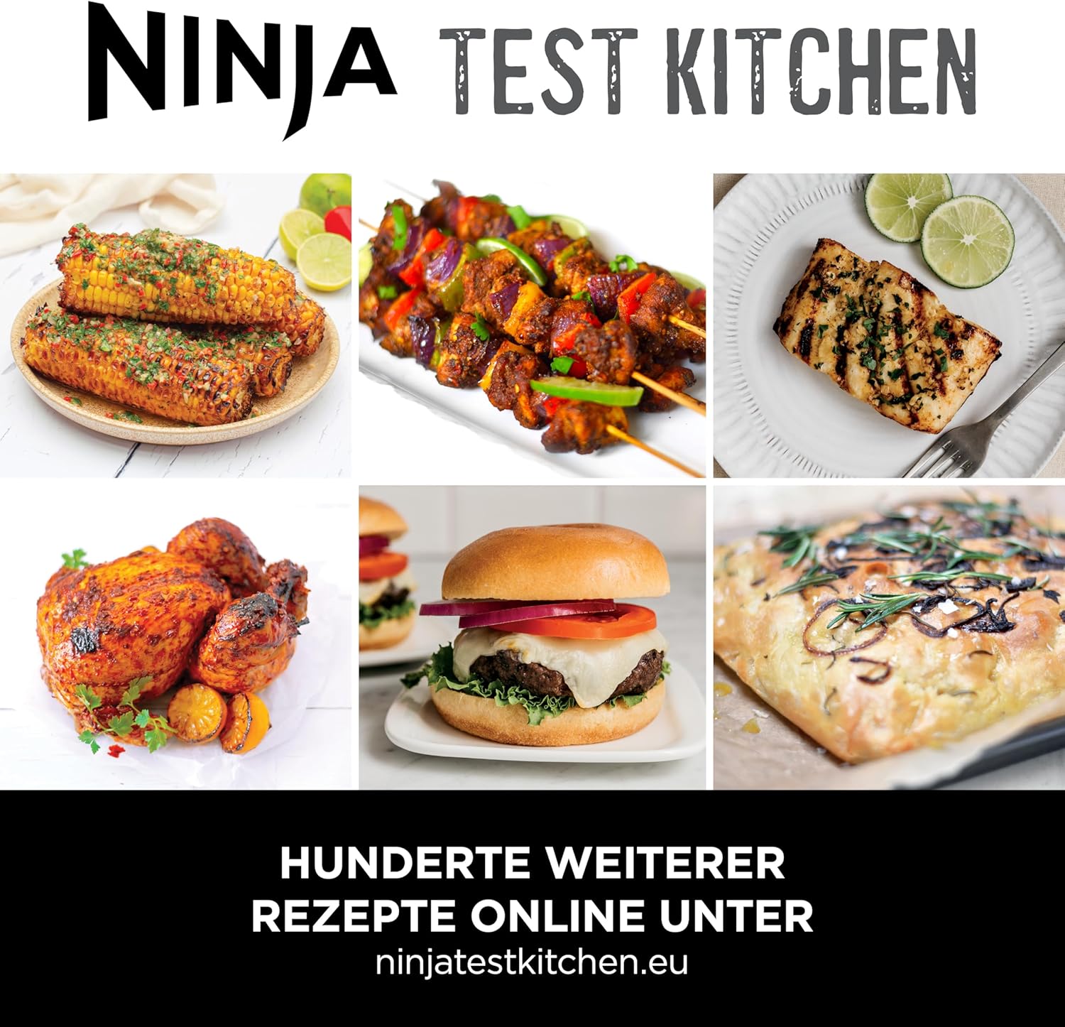 Ninja EG351CH 5in1 Grill und Heißluftfritteuse