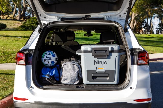 Ninja FrostVault 28 L Kühlbox mit Trockenzone