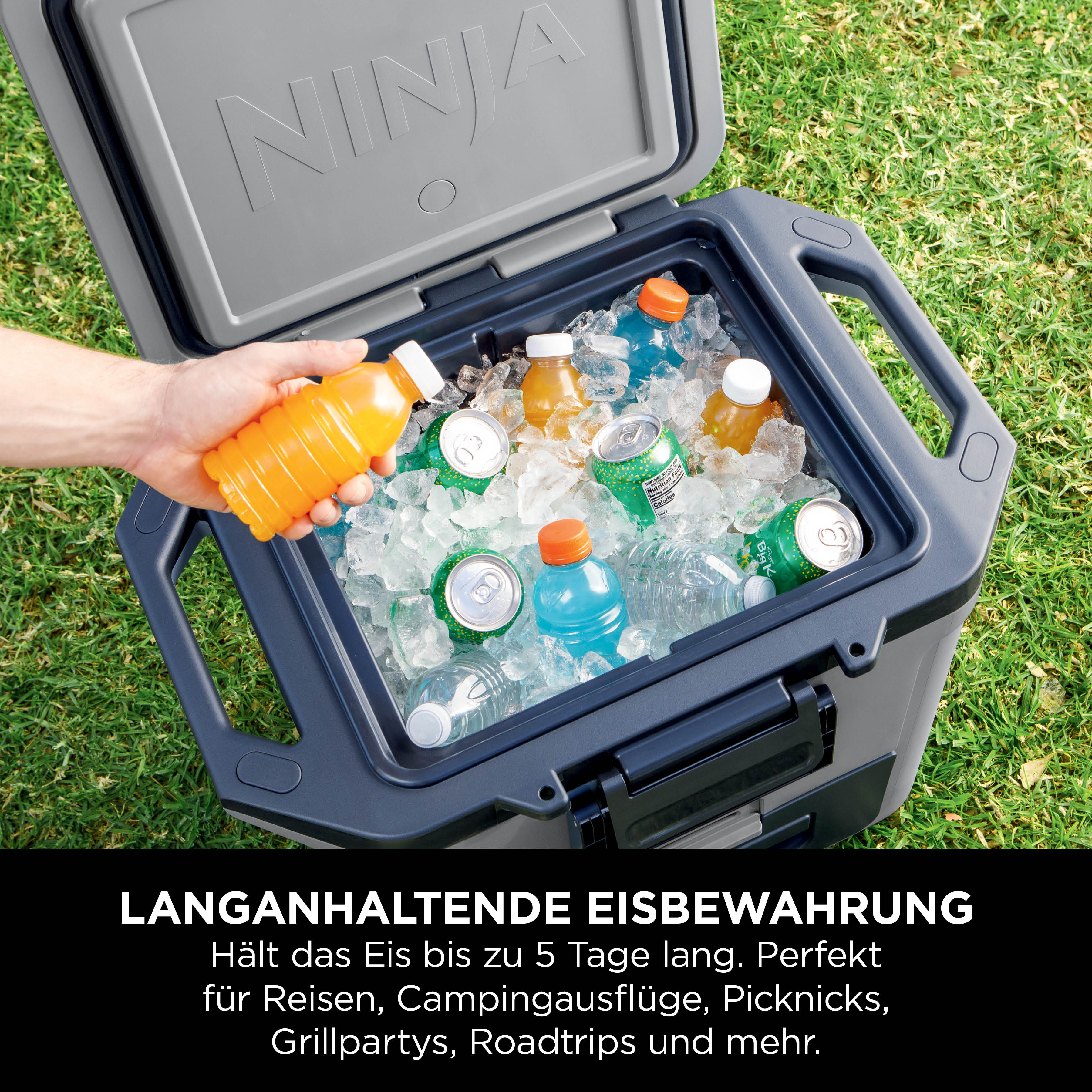 Ninja FrostVault 28 L Kühlbox mit Trockenzone
