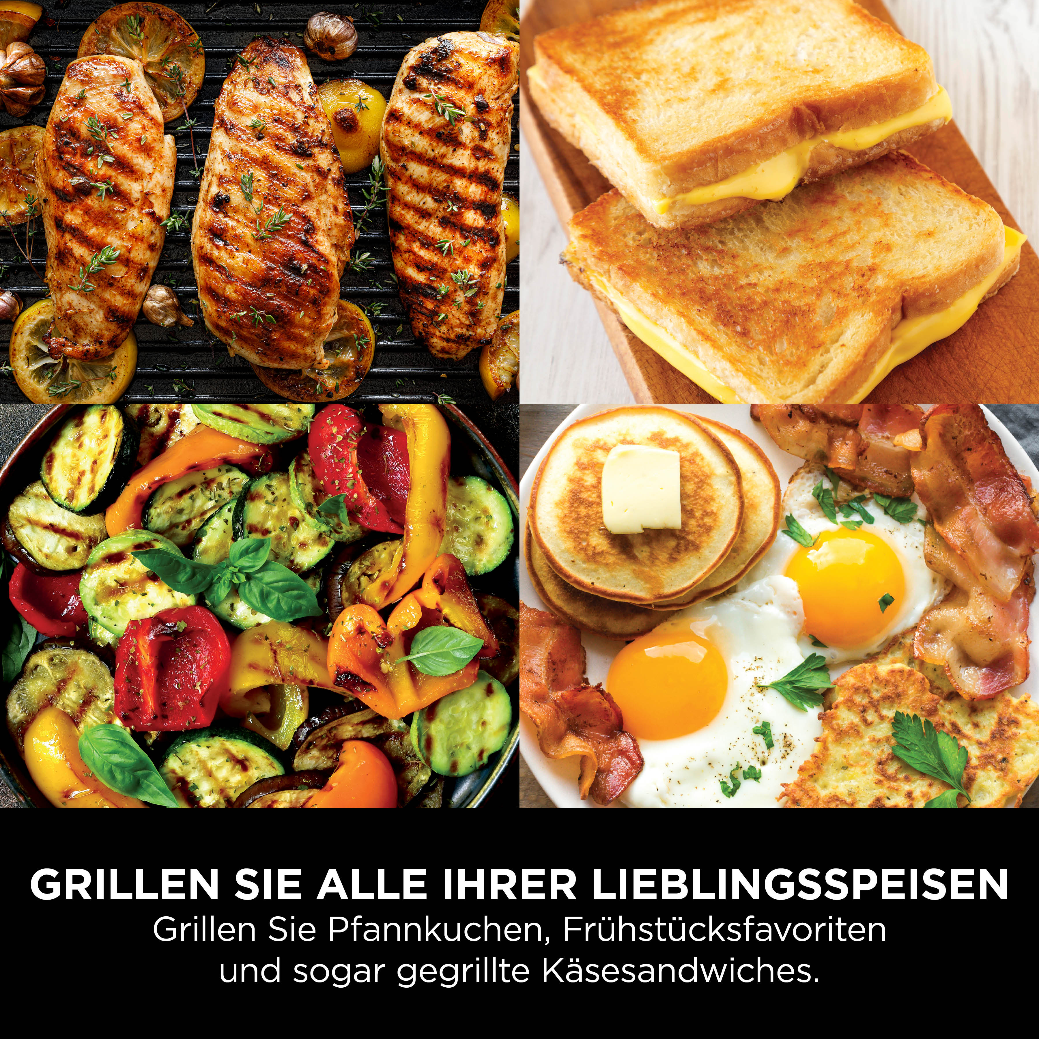Ninja GR101CH Sizzle Grillplatte und Plancha