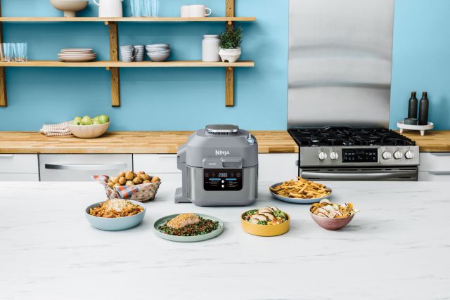 Ninja SPEEDI Air Fryer & Rapid Cooking System