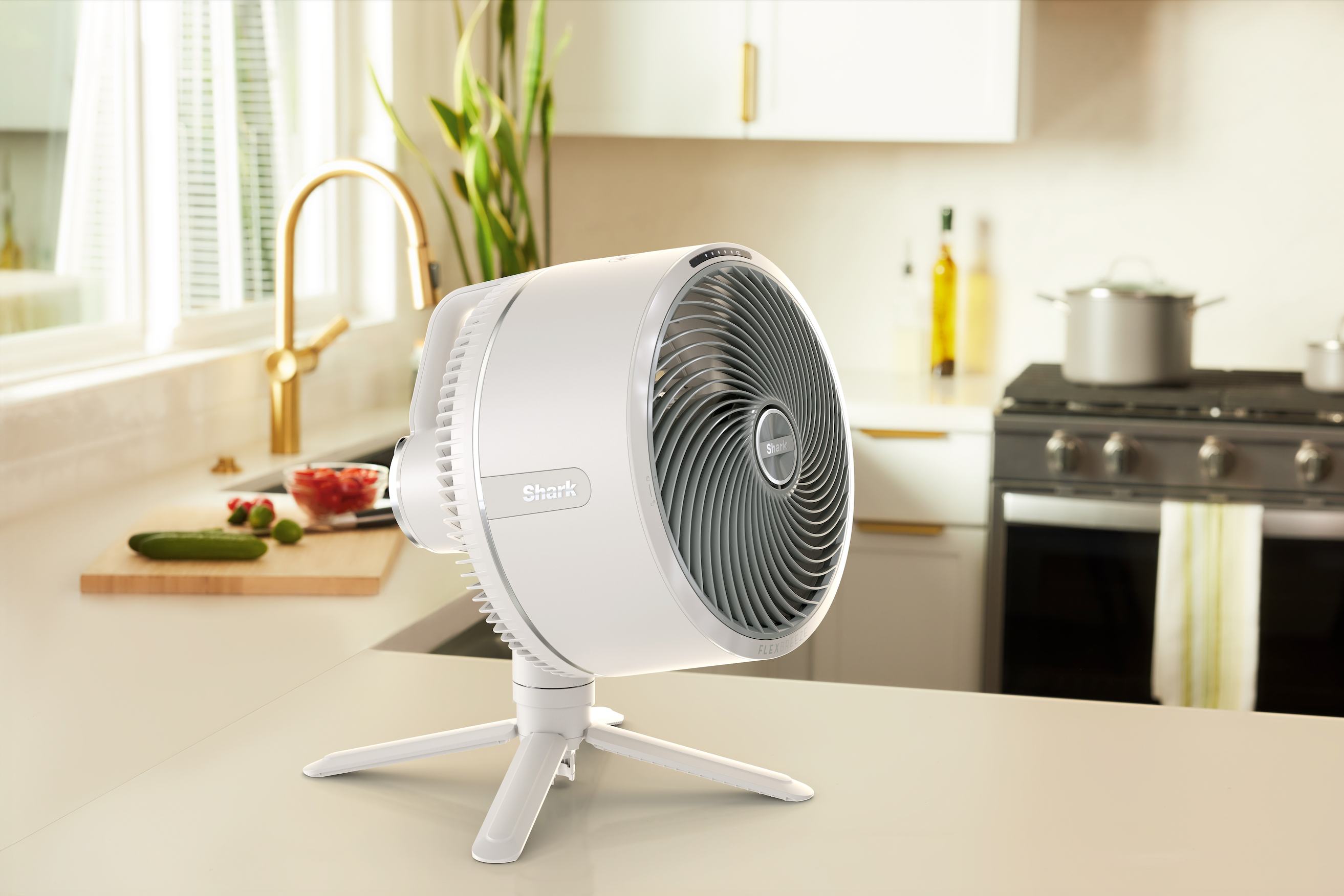 Shark FA220CH FlexBreeze Ventilator
