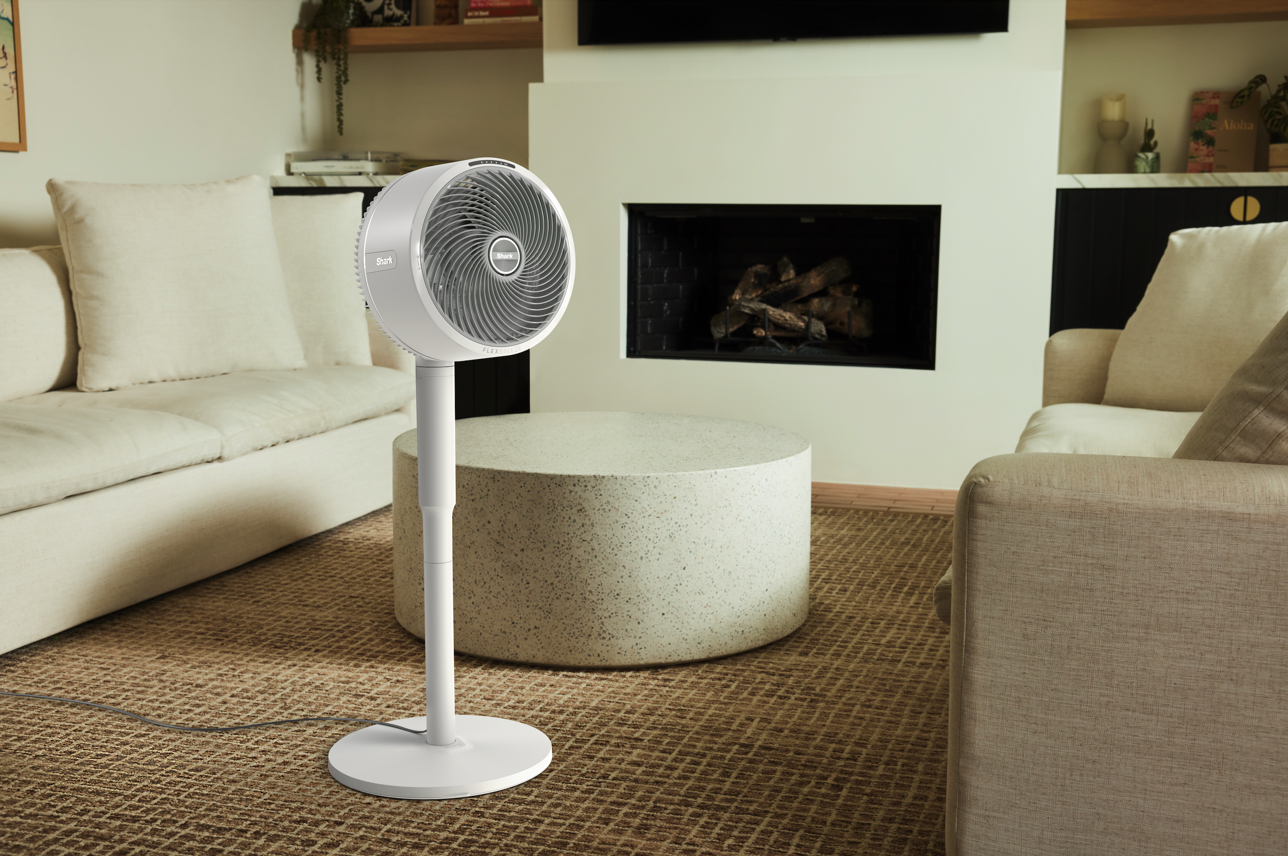 Shark FA220CH FlexBreeze Ventilator