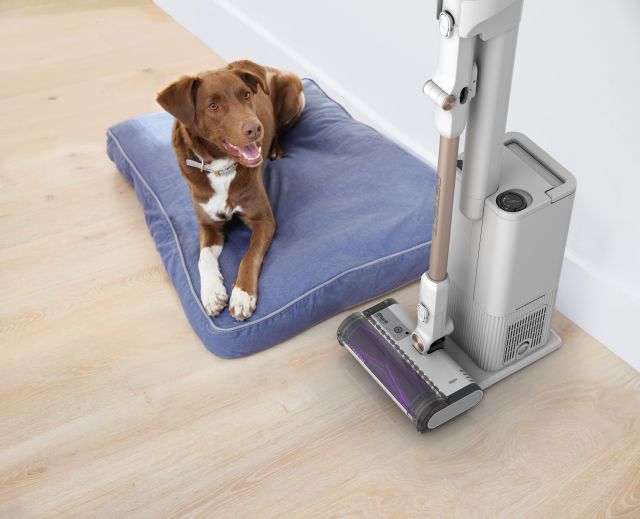 Shark IW3612CHT Detect Clean Akku-Staubsauger