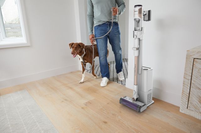 Shark IW3612CHT Detect Clean Akku-Staubsauger